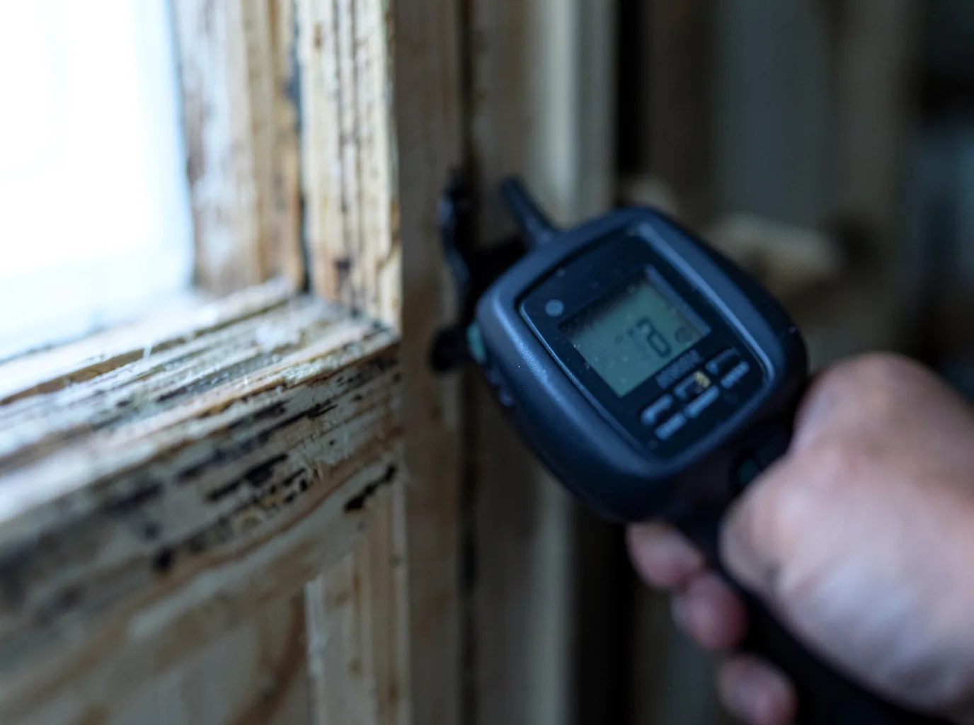 Moisture Inspection And Documentation in Solomons, MD